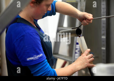 Brewer Ffion Jones am Zweig und Farn Brauerei, Nelson, Neuseeland Stockfoto