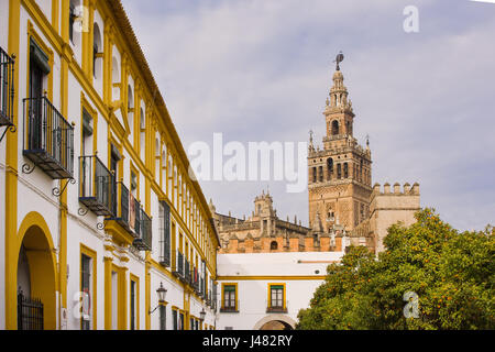 Giralda der Glockenturm der Kathedrale von Sevilla Aussicht von der Terrasse des Banderas orange Bäume voller reifer Früchte in die richtige Stockfoto