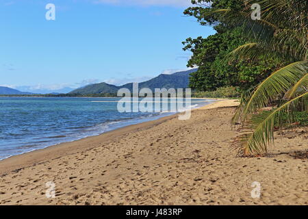 Schöne, nicht überlaufen Palm Cove Beach-Blick von der oberen Kante in der Nähe der Anlegestelle Stockfoto