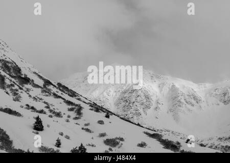 Verschneite Berggipfel von Alaska. Stockfoto