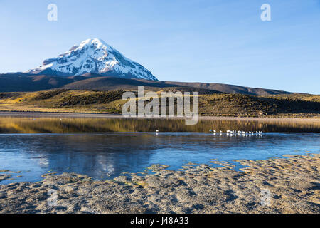 Sajama Vulkan und See Huayñacota, in der natürliche Park Sajama. Bolivien Stockfoto