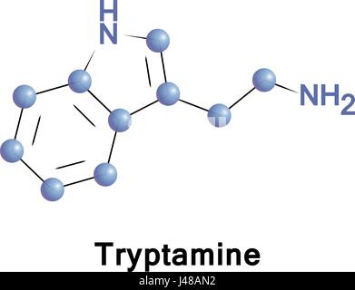 Tryptamine ist ein Monoamin-Alkaloid. Es enthält ein Indol-Ringstruktur und ist strukturell ähnlich wie die Aminosäure Tryptophan. Man findet in tra Stock Vektor