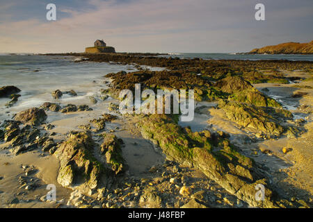 Kirche im Meer Llancwyfan, AberffRAW, Anglesey, Stockfoto