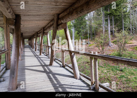 Anzeigen von Holzsteg für Tierbeobachtungen, Bayern, Deutschland. Terrasse für Tiere in den Wäldern zu beobachten. Holzbrücke mit einem Dach in den Wald. Stockfoto