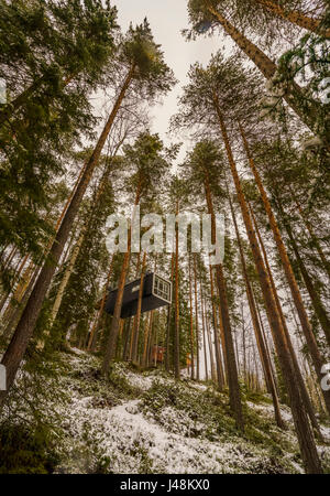 Unterkunft in den Wäldern, bekannt als The Cabin im Tree Hotel in Lappland, Schweden Stockfoto