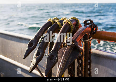 Longline-Anker auf der Schiene der F/V Glück Taube beim kommerziellen Angeln auf Heilbutt in der Nähe von King Cove, Alaska-Halbinsel Stockfoto