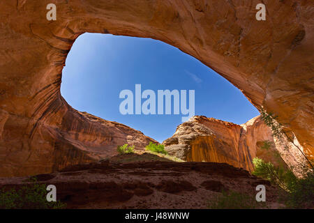 Grottenhöhle Skyward View Landschaft Berühmte Felsformation Jacob Hamblin Arch Rock. Landschaftlich Reizvolle Canyonwanderung Coyote Gulch Escalante Utah Vereinigte Staaten Stockfoto