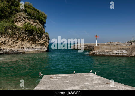 Alten Hafen Felsen Meer der Plage du Port-Vieux Pyrenäen französischen Biarritz, Frankreich Europa. Stockfoto