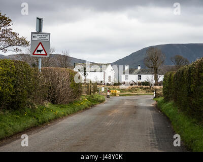 Eine Straße in der Nähe von Ennerdale Bridge mit einem Vieh-Rost und Warnung-Schild. Stockfoto