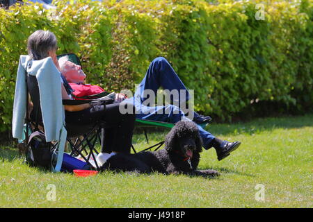 Henley, UK. 10. Mai 2017. Herrliches Wetter im Thames Valley. Besucher und Einheimische genießen Sie einen warmen Nachmittag am Fluss in Henley-on-Thames! Bildnachweis: Uwe Deffner/Alamy Live-Nachrichten Stockfoto