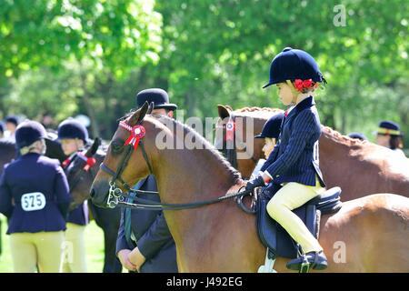 Windsor, UK. 10. Mai 2017. Gracie Aungier 7 Jahre alt, warten darauf, ihr Ponyreiten Broadgrove Littlestar in der Arena zu beurteilen, die später zusammen zweiter Teil gezüchtet und Anglo-Araber, 148 cm und unter, kamen in der Adelaide Arena auf eine herrliche sonnige - Tag1 des Royal Windsor Horse Show in der Windsor Castle Gelände Berkshire UK. Kredit Gary Blake/Alamy Live-Nachrichten Stockfoto