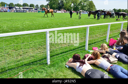 Windsor, UK. 10. Mai 2017. Genießen die Sonne und die Pferde auf eine herrliche sonnige - Tag1 des Royal Windsor Horse Show in der Windsor Castle Gelände Berkshire UK. Kredit Gary Blake/Alamy Live-Nachrichten Stockfoto