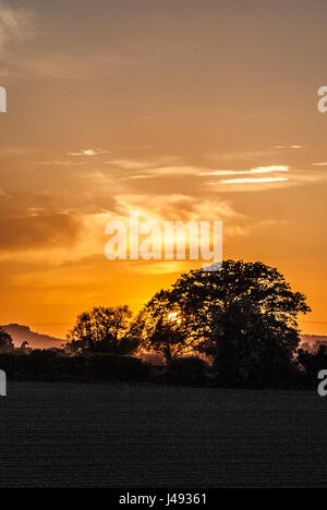 Leominster, Herefordshire. 10. Mai 2017. Kurz vor der vollständigen "Blume Mondaufgang Sonnenuntergang hinter Bäumen im ländlichen Herefordshire Credit: Jim Holz/Alamy Live News Stockfoto