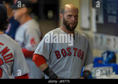 Milwaukee, WI, USA. 9. Mai 2017. Boston Red Sox zweiter Basisspieler Dustin Pedroia #15 vor der Major League Baseball Spiel zwischen den Milwaukee Brewers und den Boston Red Sox im Miller Park in Milwaukee, Wisconsin. John Fisher/CSM/Alamy Live-Nachrichten Stockfoto