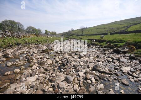 Yorkshire, Vereinigtes Königreich. 11. Mai 2017. Großbritannien Wetter. Sommer kommt früh zu den berühmten Yorkshire Dales in England. Flüsse sind zur Neige am Oberlauf des Flusses Wharfe im schönen Wharfedale, N Yorkshire zu einem Zeitpunkt wann Frühling Torrents normalerweise Flüssen und Nebenflüssen füllen. Die Wharfe in der Nähe von Oughtershaw und Hubberholme, ein beliebter Treffpunkt des Schriftstellers J B Priestley, sind Anzeigen ausgesetzt Kies- und Rockbeds, die normalerweise nicht bis Ende Juni enthüllt. Bildnachweis: David Hickes/Alamy Live-Nachrichten Stockfoto