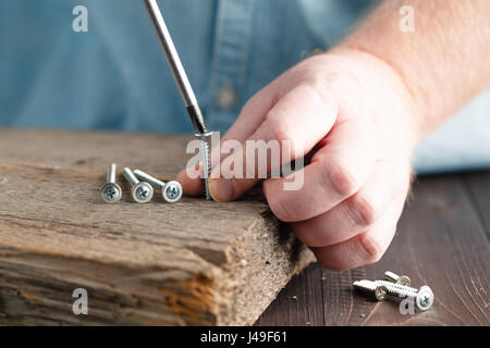Schraube wird in einem Stück Holz geschraubt Stockfoto