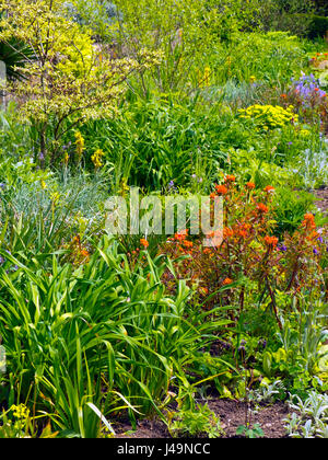 Frühling Garten Grenze dicht bepflanzt Stockfoto