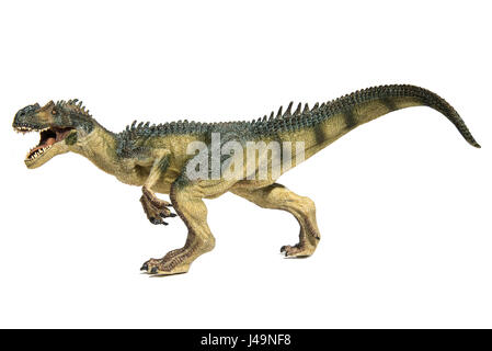 Allosaurus isoliert auf weißem Hintergrund Stockfoto