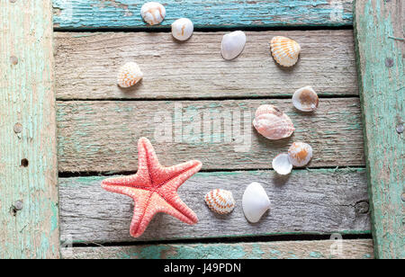 Rote Seesterne und Muscheln auf einem hölzernen Hintergrund Stockfoto