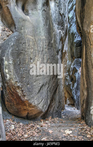 Schmalen Pfad zwischen den Felsen - Mousehole - Felsen-Stadt im Böhmischen Paradies. Das Böhmische Paradies ist das Naturgebiet geschützt. Es wurde in 19 erklärt. Stockfoto