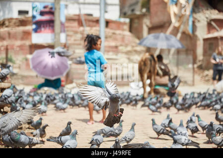 Junges Kind durchläuft Tauben, Durbar Square, Kathmandu, Nepal Stockfoto