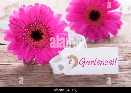 Etikett mit deutschen Text Gartenzeit bedeutet Garten Zeit. Rosa Frühling Gerbera Blüte. Vintage, Rutic oder Alter Holz Hintergrund. Karte für Frühjahr Grüße. Stockfoto