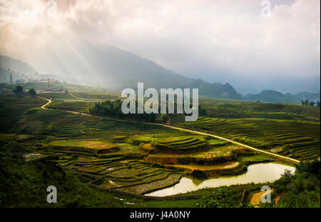 SAPA, VIETNAM - ca. SEPTEMBER 2014: Blick auf typische Reis Paddy Landschaft in Sapa, Nord-Vietnam. Stockfoto