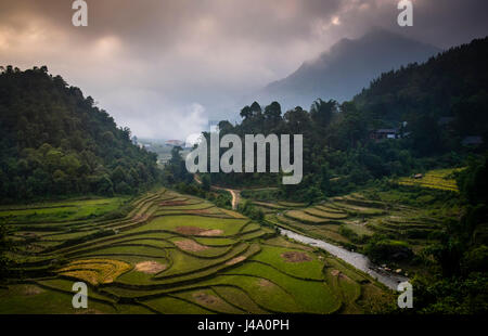 SAPA, VIETNAM - ca. SEPTEMBER 2014: Blick auf typische Reis Paddy Landschaft in Sapa, Nord-Vietnam. Stockfoto