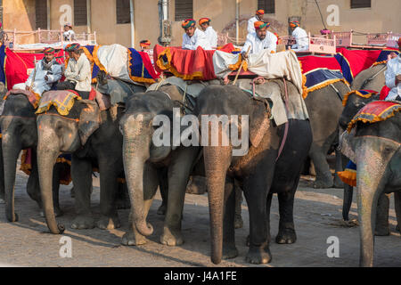 Mahouts warten auf Touristen bis zu Amer Fort auf ihren Elefanten in Jaipur, Indien zu nehmen. Stockfoto