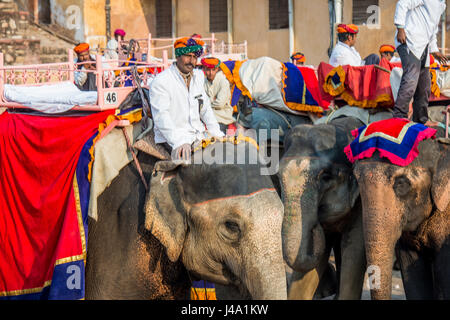 Mahouts aufgereiht und warten auf Touristen nehmen bis die Amer Fort in Jaipur, Indien. Stockfoto