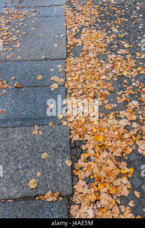 Herbstlaub in Berlin, Deutschland-Straße. Stockfoto