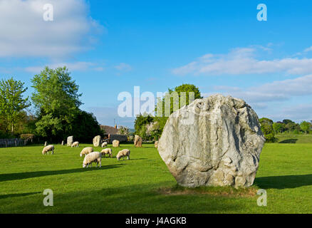 Standing Stones in Avebury, Wiltshire, England UK Stockfoto