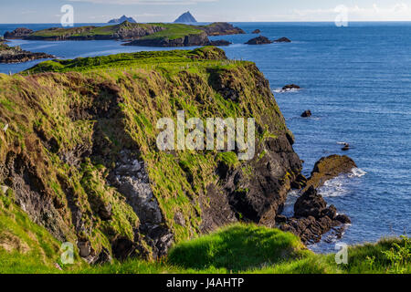 Klippe Küste von Valentia Island, County Kerry, Irland. Blick über Pferd Island und Long Island zu den Skellig Inseln (hinten). Stockfoto