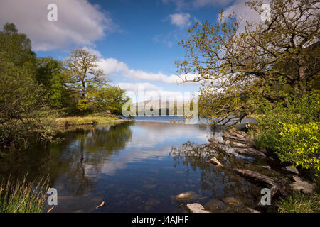 Sonniger Frühlingstag in Rydal Wasser im Lake District, Cumbria, England UK Stockfoto