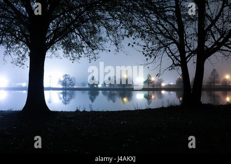 Licht durch Nebel Nebel reflektiert auf einem Teich während Hintergrundbeleuchtung Bäume Stockfoto