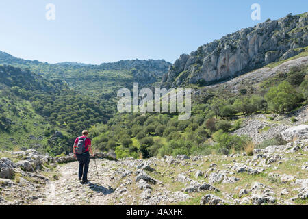 Eine reife Frau beschäftigt auf einer Bergwanderung mit Rucksack im spanischen Teil namens Andalusien in der Nähe von Córdoba Stockfoto