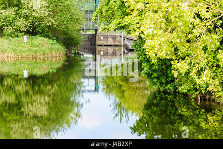 Melden Sie unter Angabe des Weg, um eine Sperre für eine ruhige, sedieren Sie Fluss Nene in der Nähe von Northampton im Frühling. Stockfoto