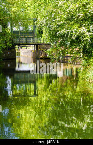 Offenen Schleuse an einem ruhigen, beschaulichen Fluss Nene in der Nähe von Northampton im Frühling. Stockfoto