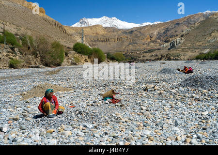 Nepalesische Frauen brechen Felsen im trockenen Flussbett des Kali Gandaki River, Chuksang, Upper Mustang, Nepal. Stockfoto