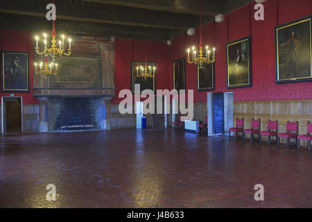 Die große Halle in Château de Sully im Loire-Tal, Frankreich Stockfoto