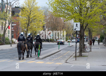 Pferd Mounted Police in Sherbrooke Street in Montreal, Québec, Kanada Stockfoto