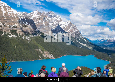 Touristen am Peyto Lake Viewpoint, Banff Nationalpark, Alberta, Kanada Stockfoto