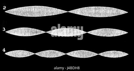 Dieses Bild aus Popular Science Monthly (Band 13, D058) zeigt Schallwellen und veranschaulicht das Konzept, wie sich der Klang durch verschiedene Medien ausbreitet, und erfasst eine wissenschaftliche Sicht der Akustik. Stockfoto