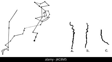 PSM V38 D044 Bewegung des Radicles von Darwin macht der Bewegung in Pflanzen Stockfoto
