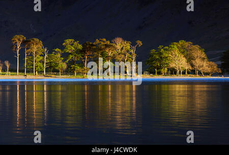 Dämmerung Licht reflektiert Bäume am Buttermere im Lake District, Cumbria, England UK Stockfoto