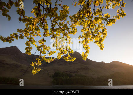 Dämmerung Licht am Buttermere im Lake District, Cumbria, England UK Stockfoto