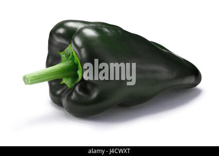 Poblano Pfeffer auch genannt Ancho, wenn reif (Capsicum Annuum) getrocknet. New Mexico (Numex Chile). Schneidepfade, Schatten getrennt Stockfoto