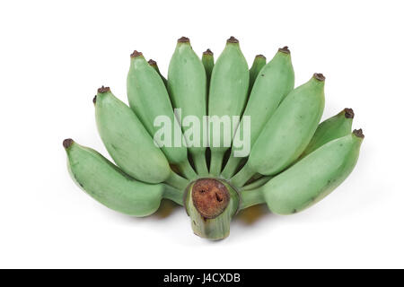 Grüne Bananen angebaut, Raw kultiviert Bananen Anruf Kluai-Nam-Wa in Thai isoliert auf weißem Hintergrund. Stockfoto