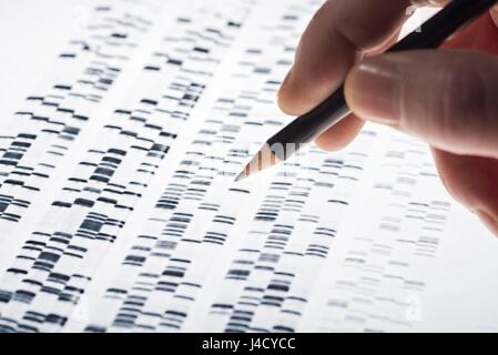 Forscher untersuchten DNA-Gel, das in Genetik, Medizin, Biologie, Pharmaforschung und Forensik verwendet wird. | weltweite Nutzung Stockfoto