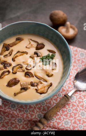 Cremige Pilzsuppe in Schüssel auf Stein Hintergrund. Hausgemachte Champignons Linsengericht Püree. Stockfoto